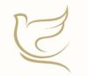 Book wings | Buy online used book